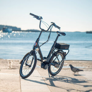 Eneratec electric Pony