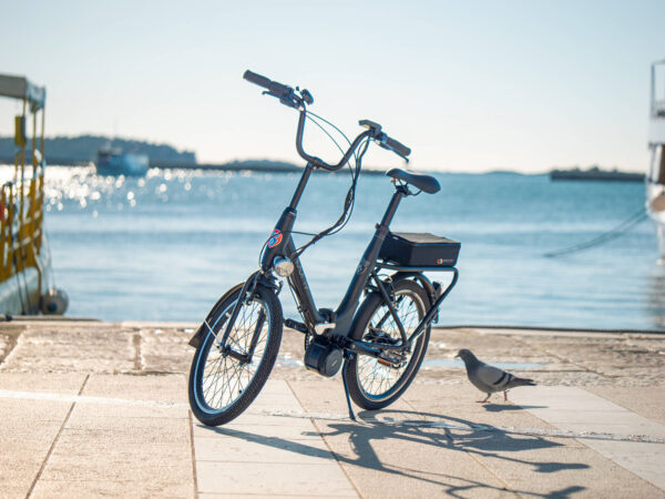 Eneratec electric Pony